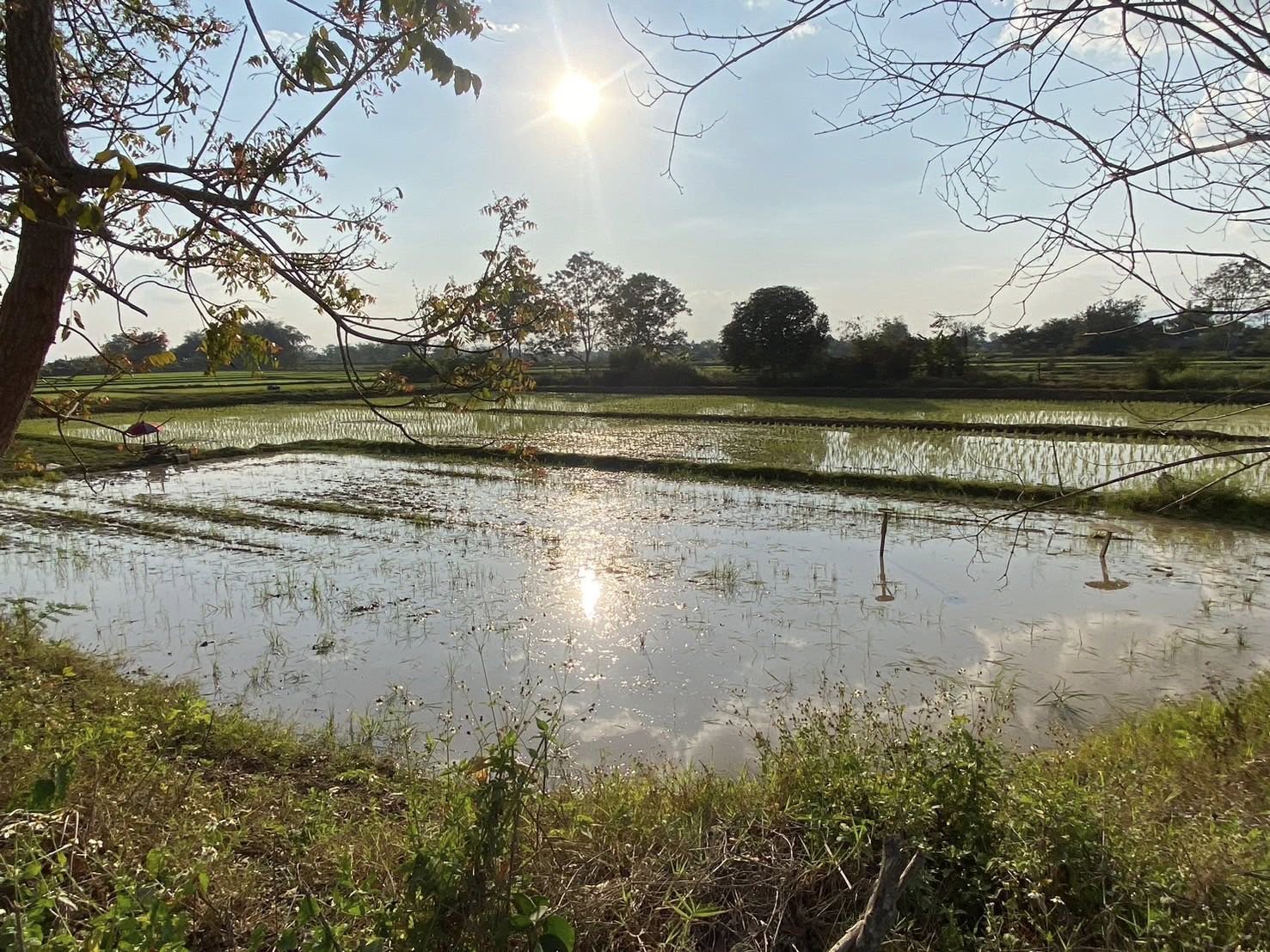 title - หัวหน้าผู้ตรวจราชการ ส.ป.ก. (เขต 3,15 และ 16) ประชุมตรวจติดตามความก้าวหน้าการดำเนินงานตามแผนงานตรวจราชการ ประจําปีงบประมาณ 2569 รอบที่ 1 ณ จังหวัดเชียงราย